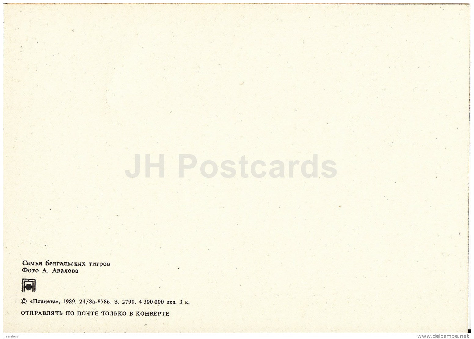 Bengal tiger family - Zoo - 1989 - Russia USSR - unused - JH Postcards