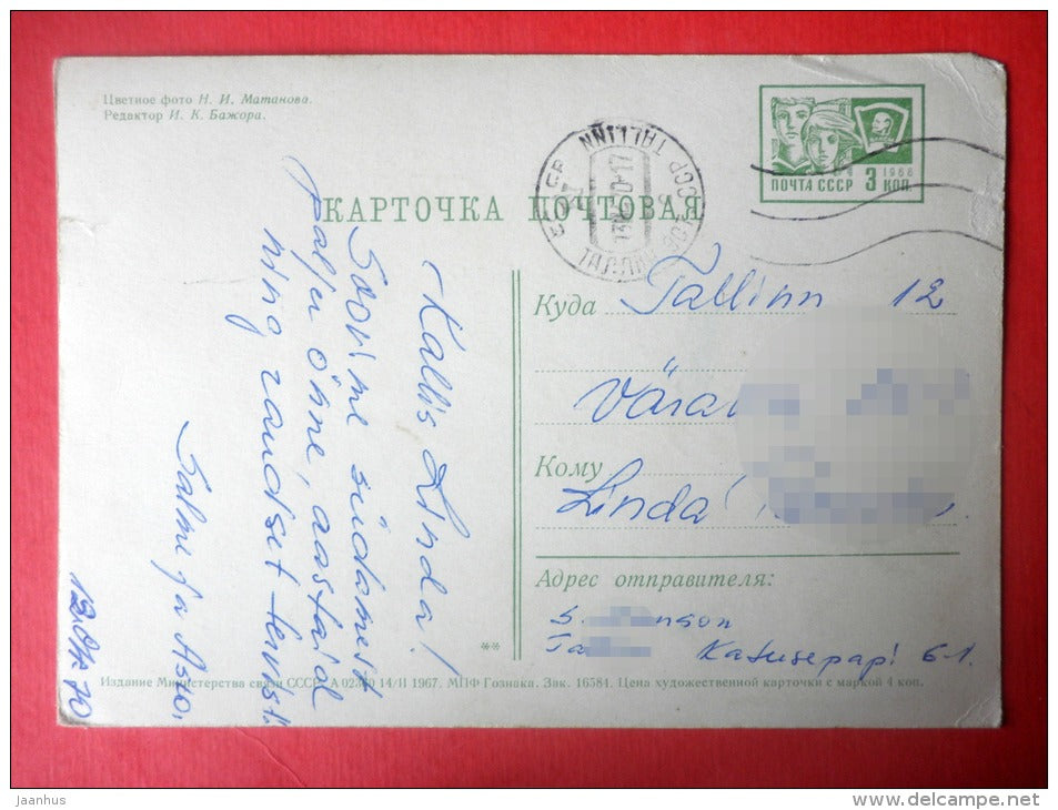 pink flowers - stationery card - 1967 - Russia USSR - used - JH Postcards