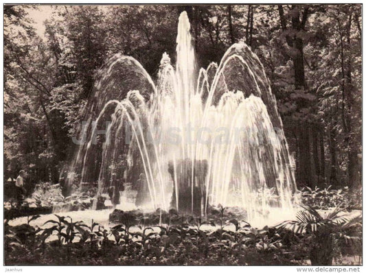 Monplaisir Garden - The Fountain Sheaf  Petrodvorets - restoration - large format postcard - 1966 - Russia USSR - unused - JH Postcards