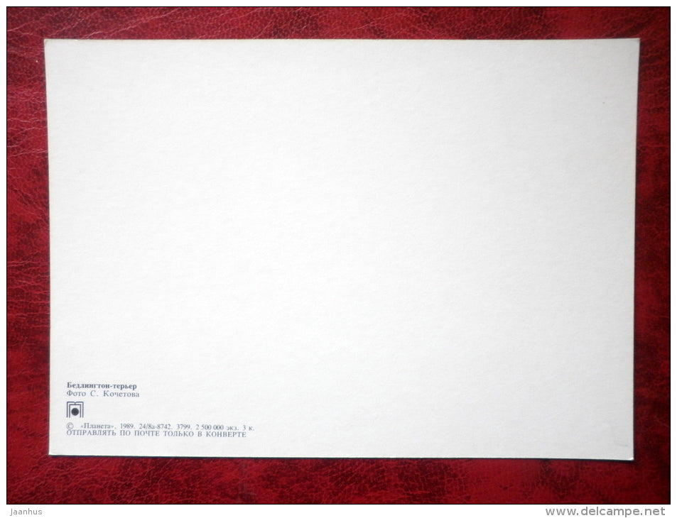 Bedlington Terrier - dogs - animals - 1989 - Russia - USSR - unused - JH Postcards
