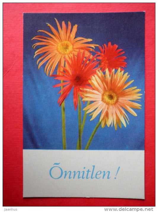 Birthday Greeting Card - flowers - Gerbera - 1974 - Estonia USSR - unused - JH Postcards