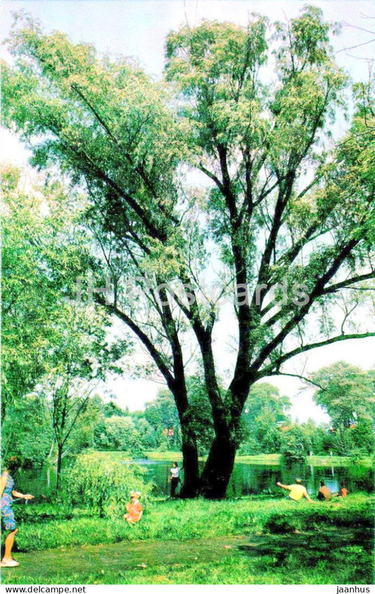 Kaliningrad - Konigsberg - Botanical Garden - 1975 - Russia USSR - unused - JH Postcards