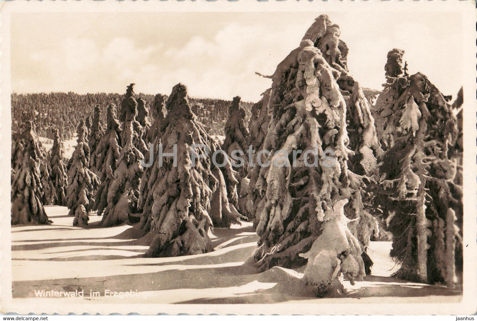 Winterwald im Erzgebirge - Wintersportplatz Kurort Barenburg - old postcard - 1947 - Germany - used - JH Postcards