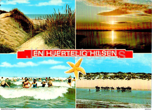 En Hjertelig Hilsen - A Hearty Greeting - beach - multiview - 1981 - Denmark - used - JH Postcards