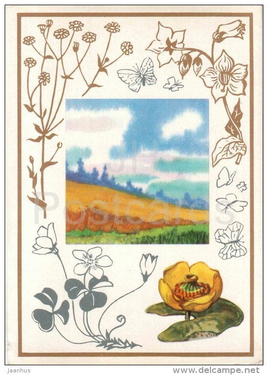 Water Lily - flowers - plants - Daytime - 1974 - Russia USSR - unused - JH Postcards