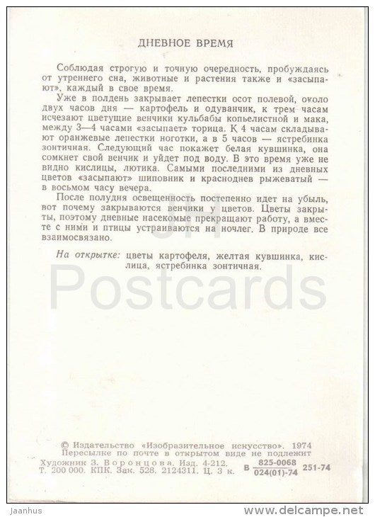 Water Lily - flowers - plants - Daytime - 1974 - Russia USSR - unused - JH Postcards