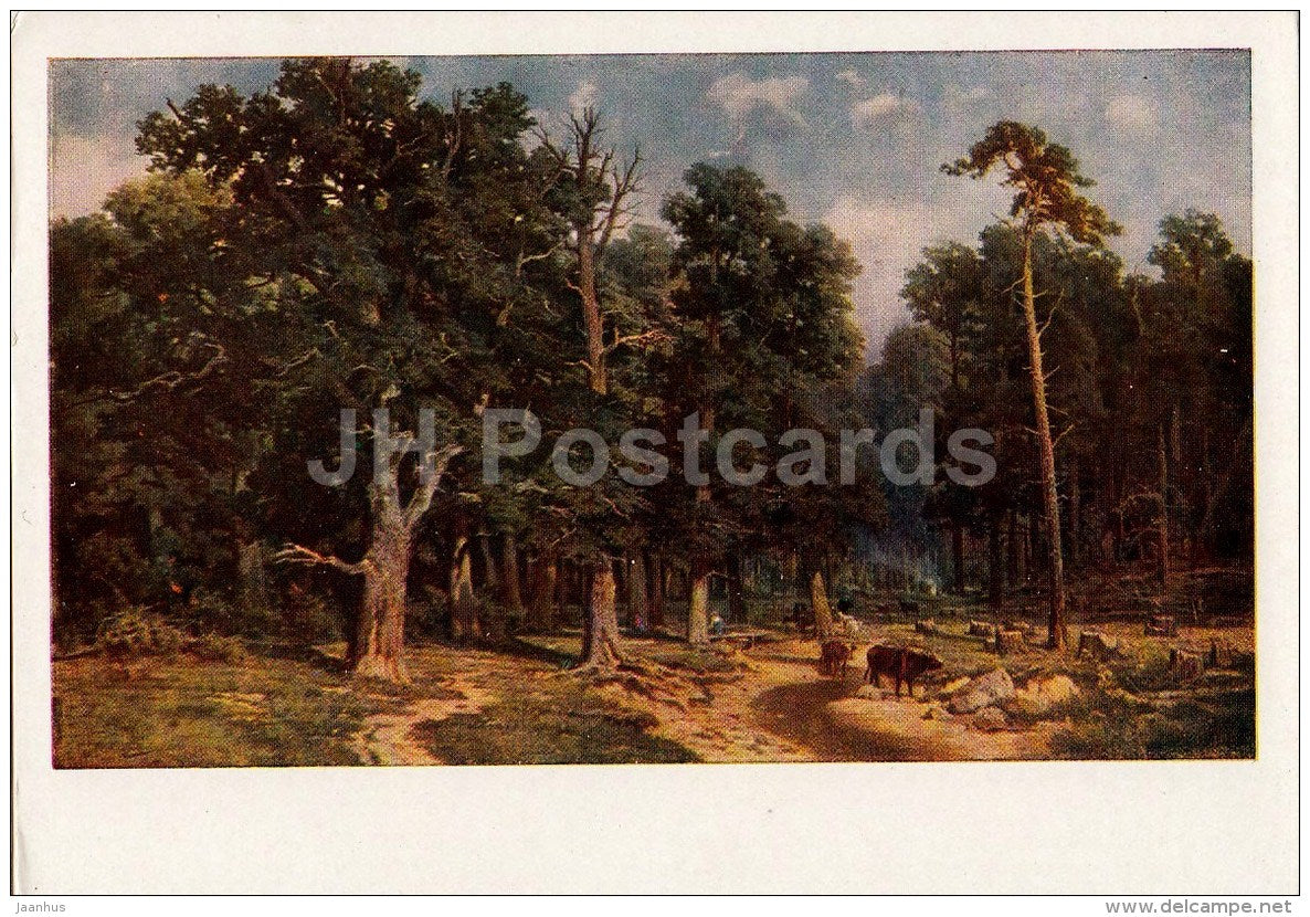 Painting by A. Yegornov - Oak Trees - Russian art - Russia USSR - 1960 - unused - JH Postcards