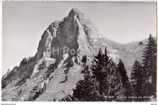 Dent de Jaman alt. 1878 m - 3726 - Switzerland - 1958 - used - JH Postcards