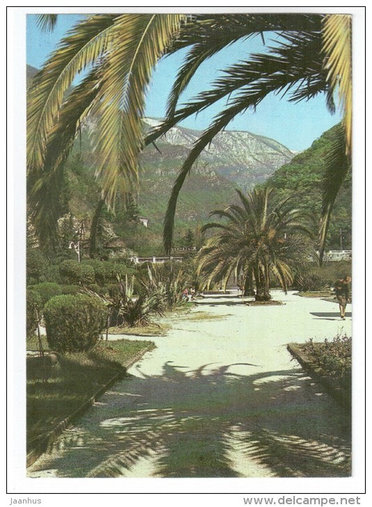 in the Komsomol Park - palm trees - Gagra - Abkhazia - 1982 - Georgia USSR - unused - JH Postcards