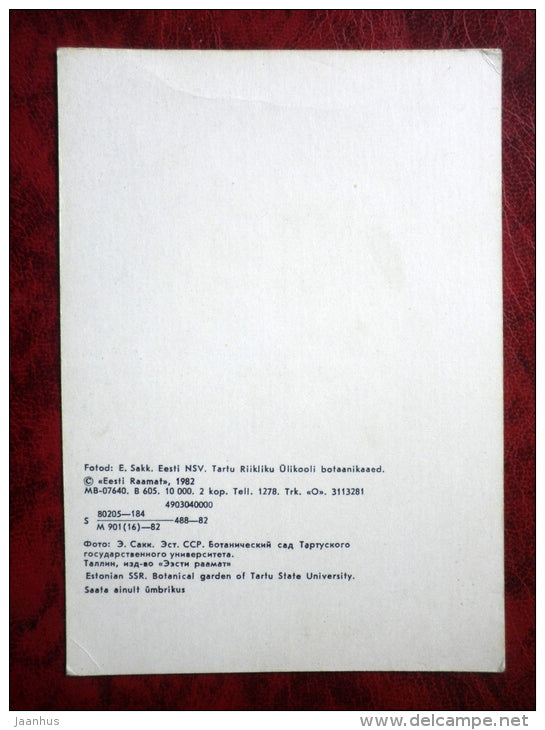 Botanic Garden of the University of Tartu - Swan - birds - monument - Estonia - USSR - 1982 - unused - JH Postcards