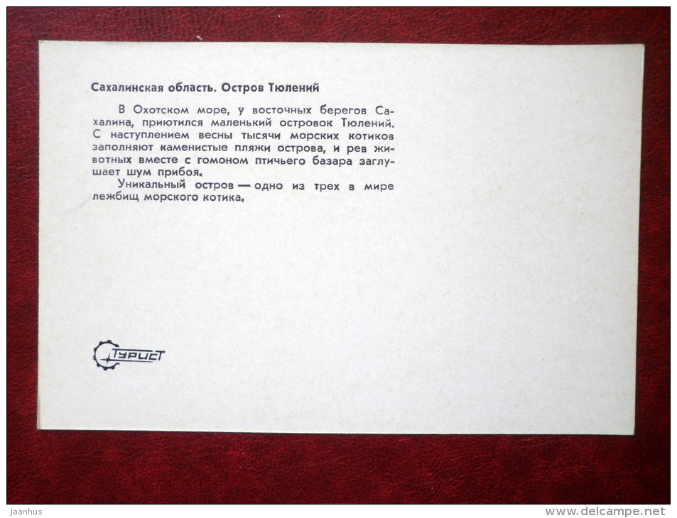 Fur Seal - Tylenii island - Sakhalin - Kuril islands - 1973 - Russia USSR - unused - JH Postcards