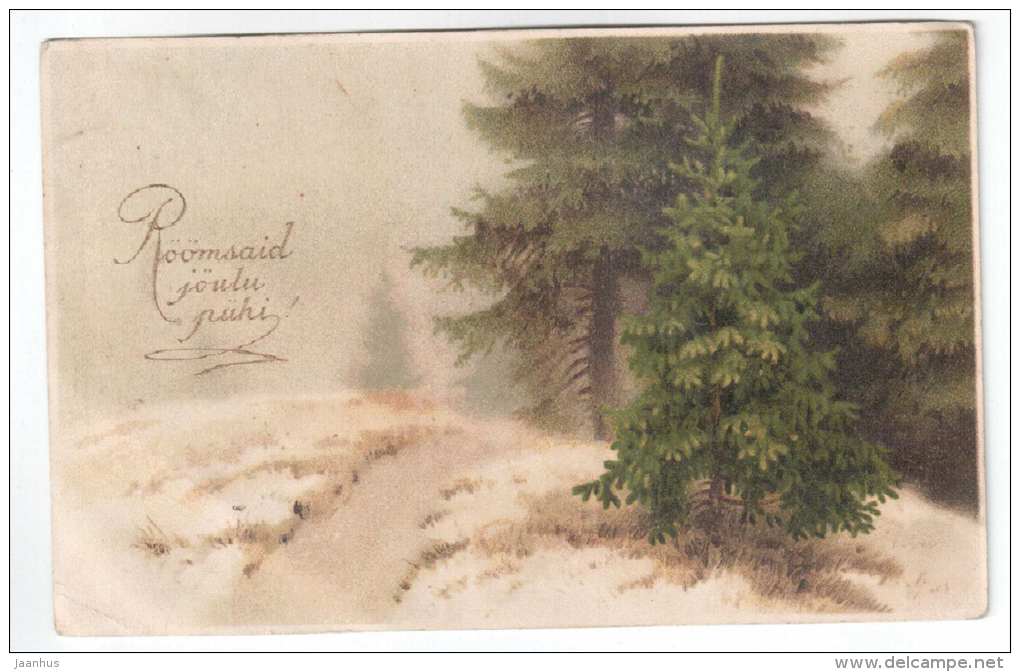 Christmas Greeting Card - fir trees - forest - PP - old postcard - circulated in Estonia 1923 - used - JH Postcards