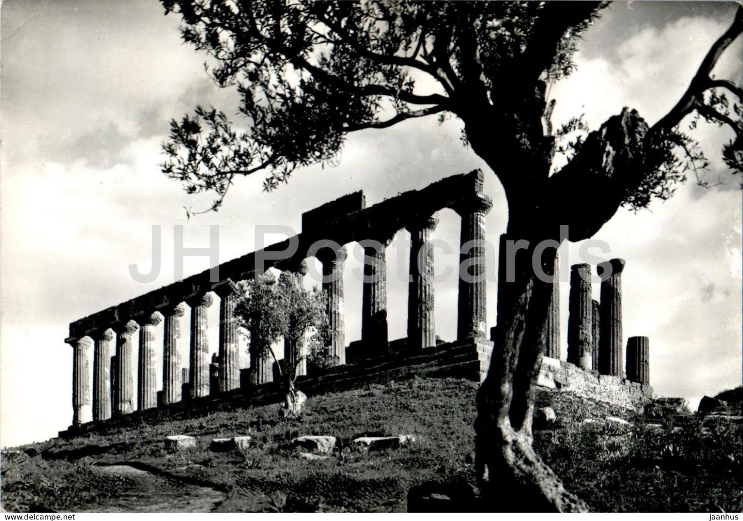 Agrigento Templi - Tempio di Giunone e Lucinia - Temple of Juno and Lucinia - ancient world - 8587 - 1960 - Italy - used - JH Postcards