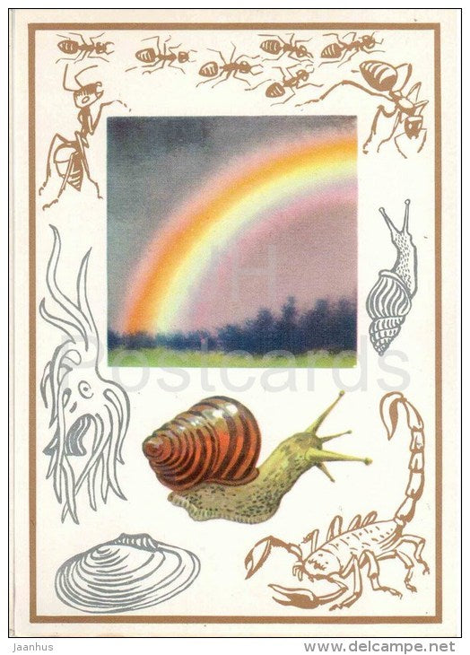 ants - snail - scorpion - rainbow - Radioactive Reactions - 1974 - Russia USSR - unused - JH Postcards