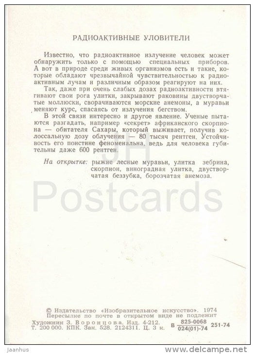 ants - snail - scorpion - rainbow - Radioactive Reactions - 1974 - Russia USSR - unused - JH Postcards