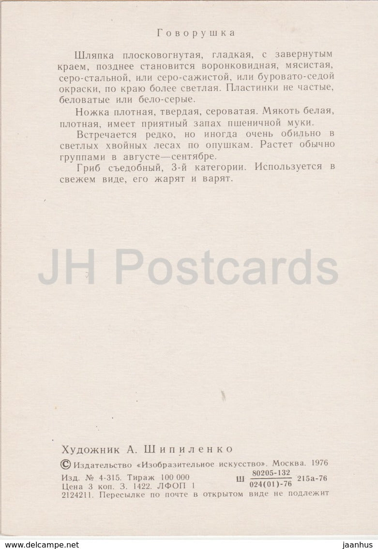 Common Funnel Mushroom - Clitocybe - illustration by A. Shipilenko - Mushrooms - 1976 - Russia USSR - unused - JH Postcards