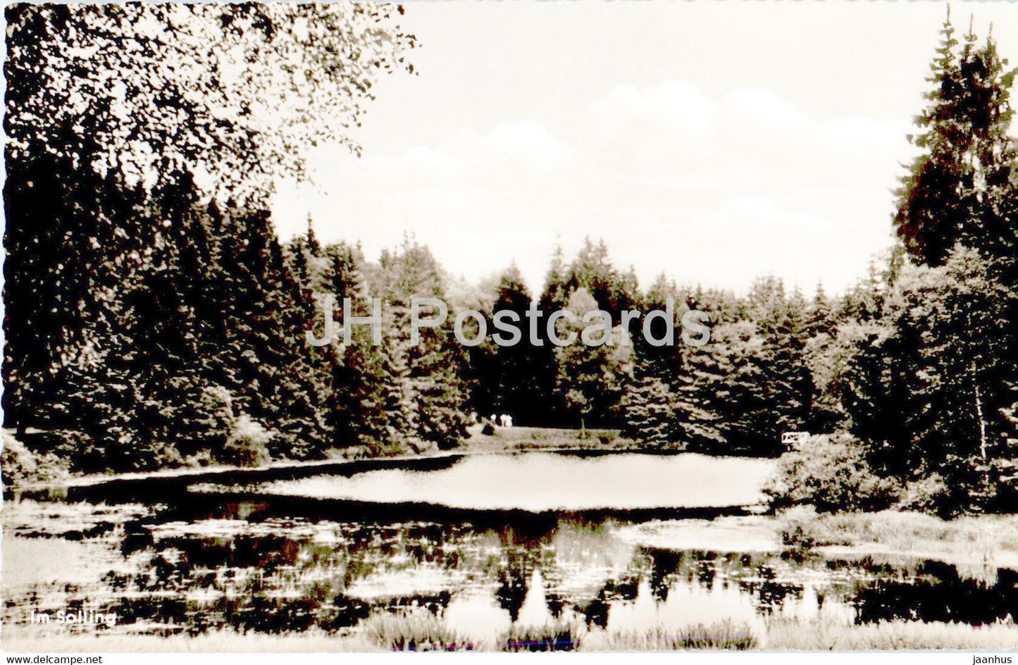 Im Solling - Neuer Teich - old postcard - Germany - unused - JH Postcards