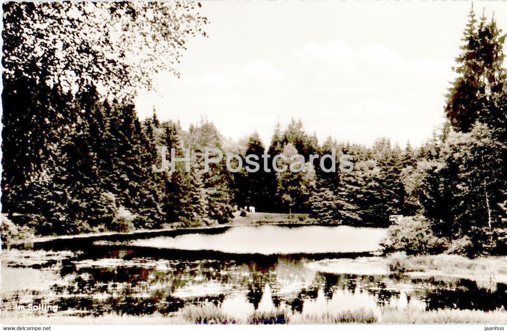 Im Solling - Neuer Teich - old postcard - Germany - unused - JH Postcards