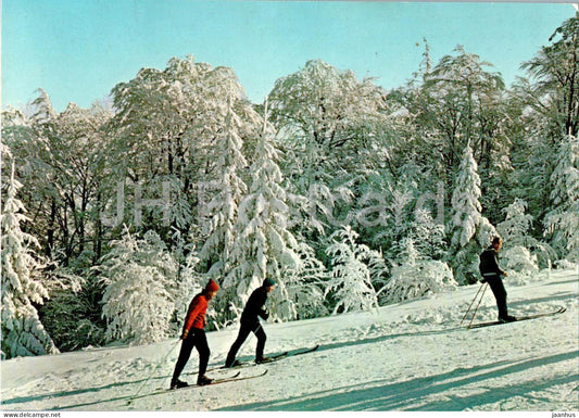 Beskid Slaski - W drodze na Szyndzielnie - On the way to Szyndzielno - skiing - Poland - used - JH Postcards