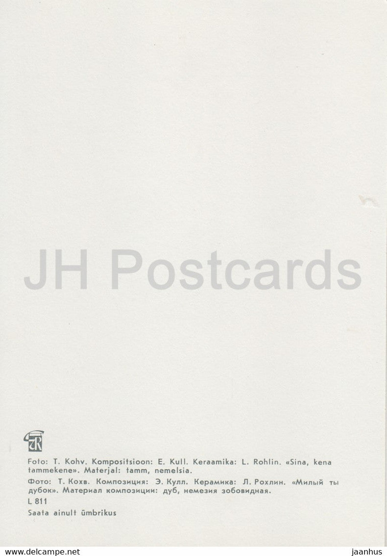 You , nice oak - composition - Flower Art - ikebana - 1981 - Estonia USSR - unused