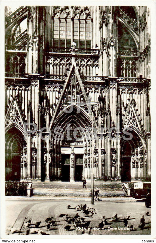 Koln - Cologne - Domtauben - cathedral - old postcard - Germany - unused - JH Postcards