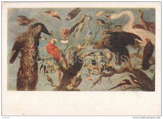 painting by Frans Snyders - Bird Concert - peacock - swan - eagle - owl - parrot - flemish art  - unused - JH Postcards