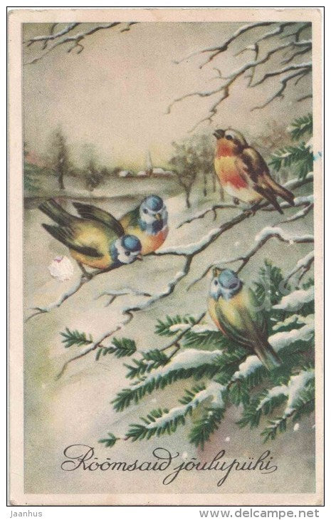 christmas greeting card - tit - birds - winter view - IL - circulated in Estonia USSR 1956 - JH Postcards