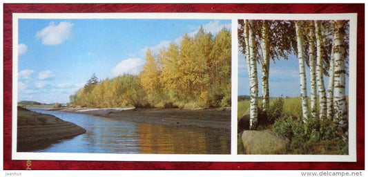 Latvian views - river - birch-trees - 1980 - Latvia USSR - unused - JH Postcards