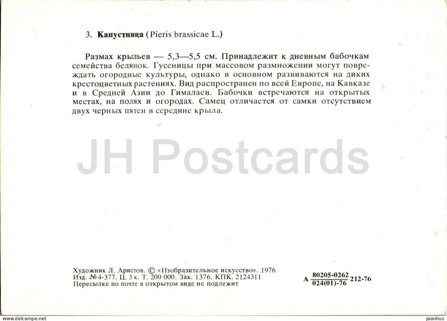 Grand blanc - Pieris brassicae - papillon - papillons - 1976 - Russie URSS - inutilisé 