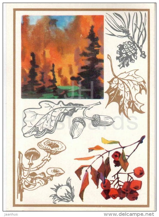 acorns - mushrooms - hazelnut - rowan berries - pine cone - Long-range Forecasters - 1974 - Russia USSR - unused - JH Postcards