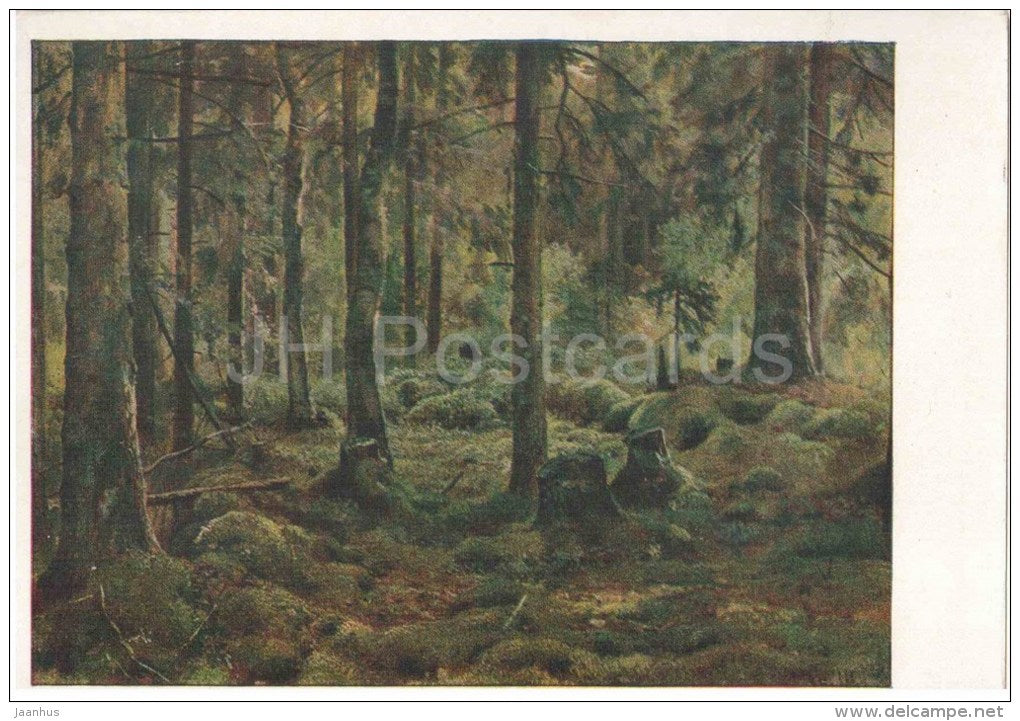painting by I. Shishkin - Deadwood - forest - russian art - unused - JH Postcards