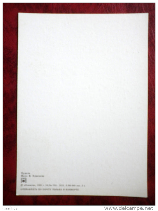 Poodle - dogs - animals - 1989 - Russia - USSR - unused - JH Postcards