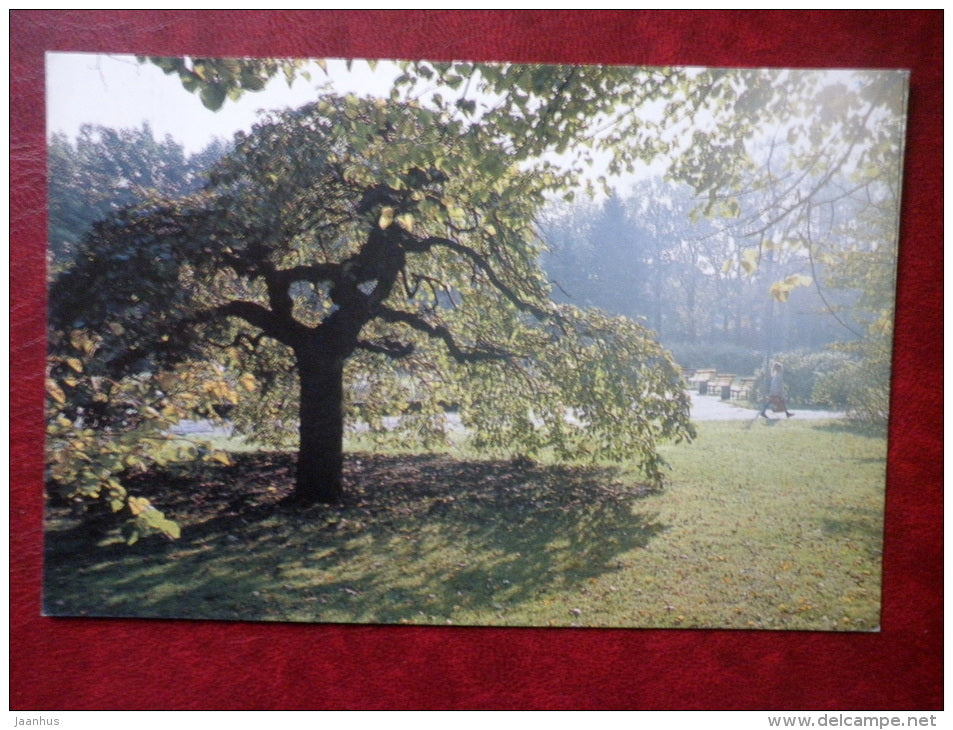 Koidula`s Park - Pärnu - Estonia - unused - JH Postcards