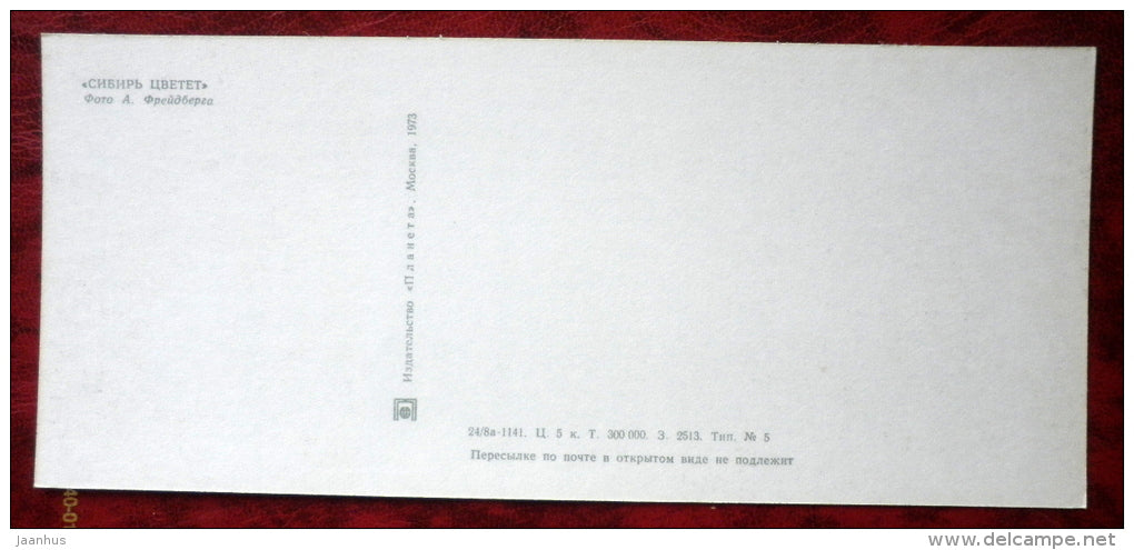 flowers _9 - Siberia blooms - 1973 - Russia USSR - unused - JH Postcards