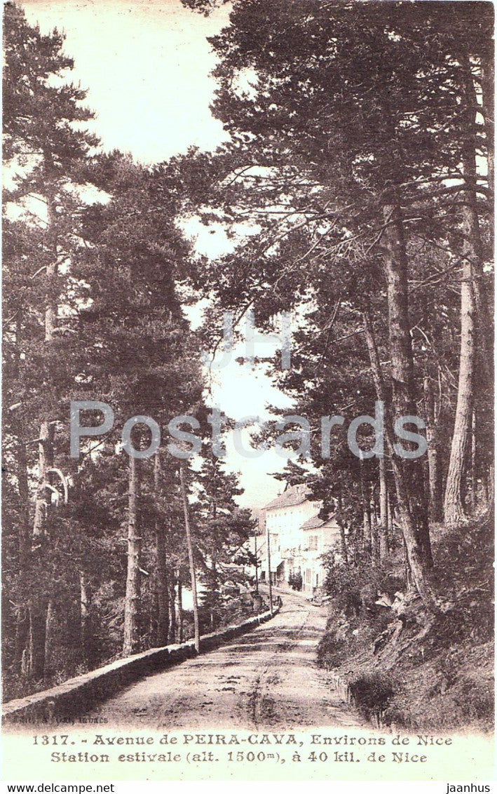 Peira Cava - Environs de Nice - Station estivale a 40 kil de Nice - 1317 - old postcard - France - unused - JH Postcards