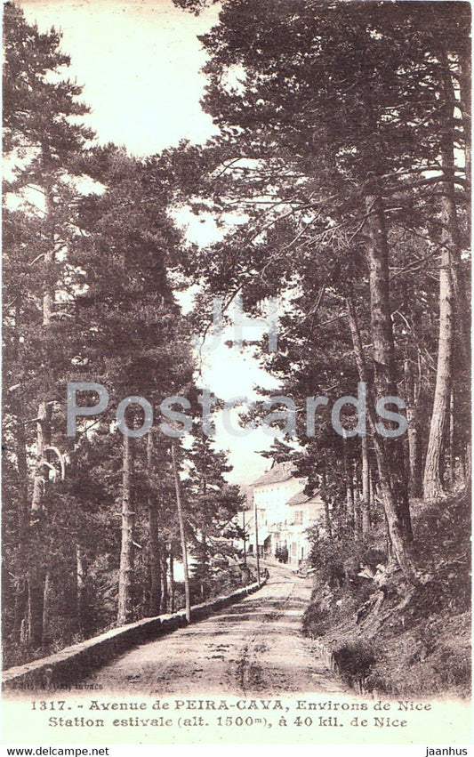 Peira Cava - Environs de Nice - Station estivale a 40 kil de Nice - 1317 - old postcard - France - unused - JH Postcards