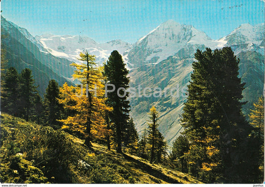 Gruppo Ortles - Il Gran Zebru - Ortlergruppe - Di Konigspitze 3860 m - 1981 - Italy - Italia - used - JH Postcards
