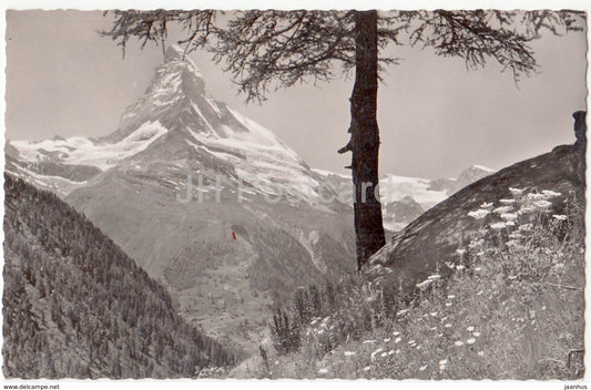 Blick von Findelen ob Zermatt auf's Matterhorn - 281 - Switzerland - 1957 - used - JH Postcards