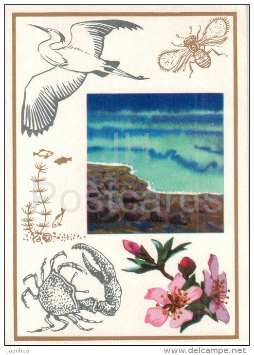 Trichogramma - egret - fiddler crabs - almond blossoms - The Biological Clock - 1974 - Russia USSR - unused - JH Postcards