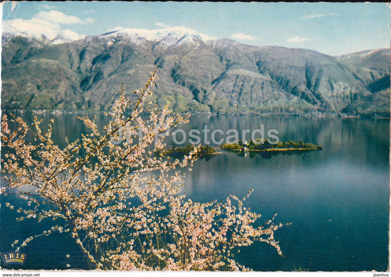 Isole di Brissago - Lago Maggiore - Parco Botanico del Ct Ticino - 1974 - Switzerland - used - JH Postcards