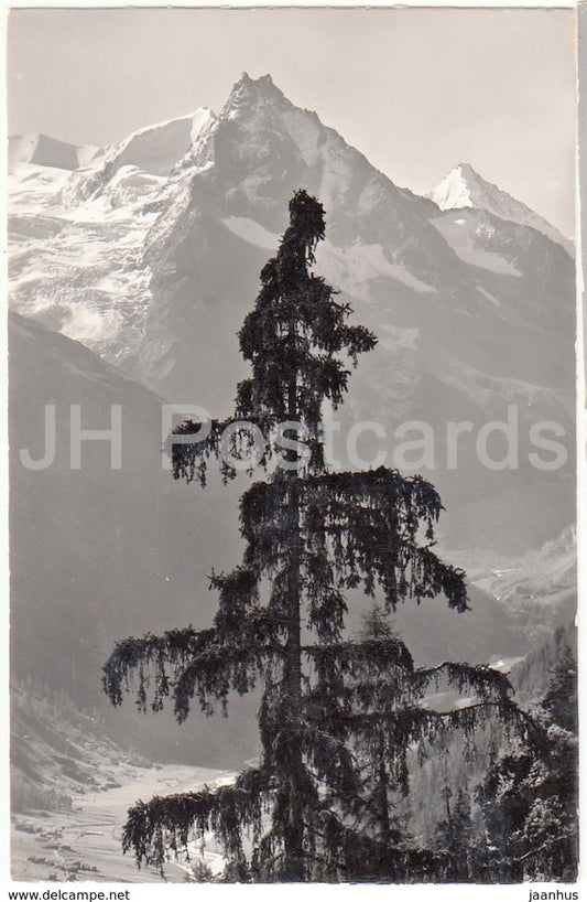 Zinal Anniviers - Le Besso et le Gabelhorn - 8854 - Switzerland - old postcard - unused - JH Postcards