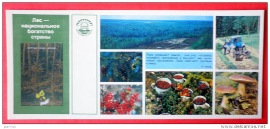 forest - tractor - mushroom - cones - berries - Nature Conservation - 1984 - USSR Russia - unused - JH Postcards