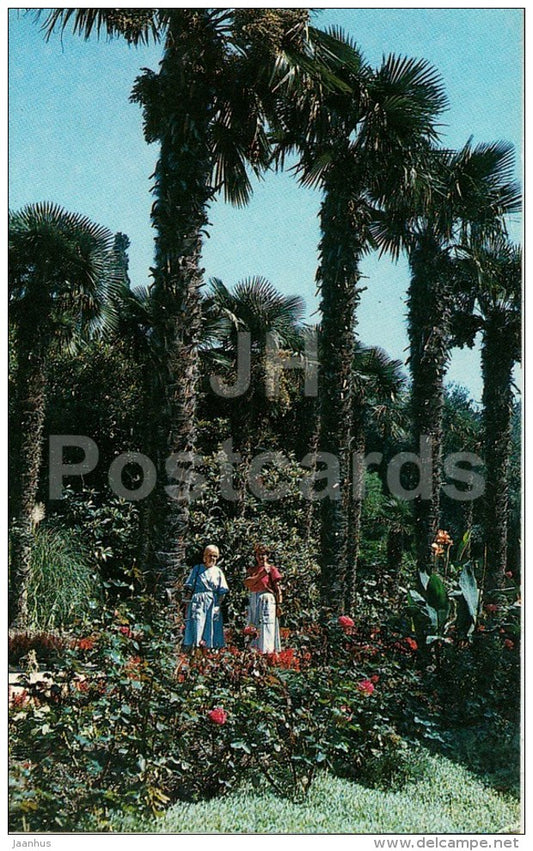 Palms in the Lower Park - Nikitsky Botanical Garden - Crimea - 1989 - Ukraine USSR - unused - JH Postcards