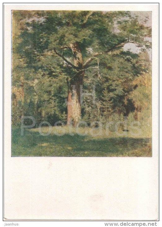 painting by I. Levitan - The Oak , 1880 - russian art - unused - JH Postcards
