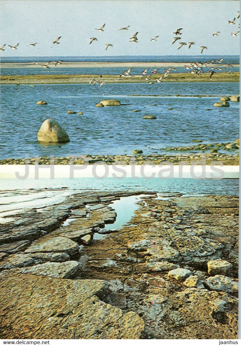 Vilsandi island - Saaremaa - 1989 - Estonia USSR - unused - JH Postcards