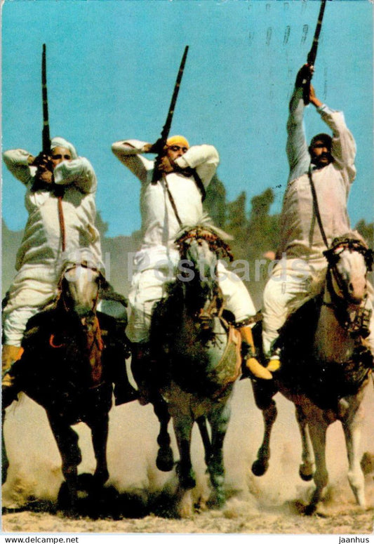 Cavaliers des Doukkalas - Riders of the Doukkalas - horse - animals - 565 - 1987 - Morocco - used - JH Postcards