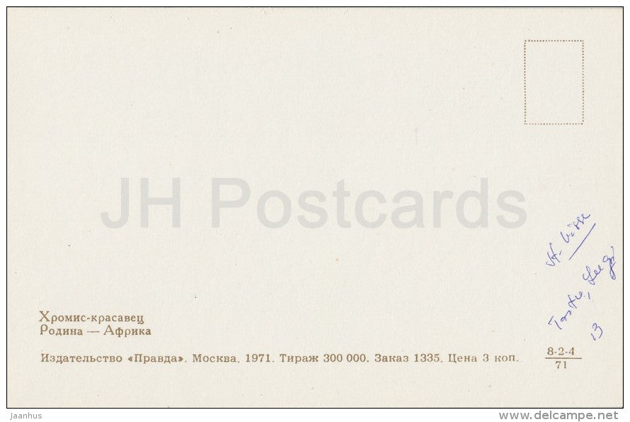 Chromis - Aquarium Fish - Russia USSR - 1971 - unused - JH Postcards