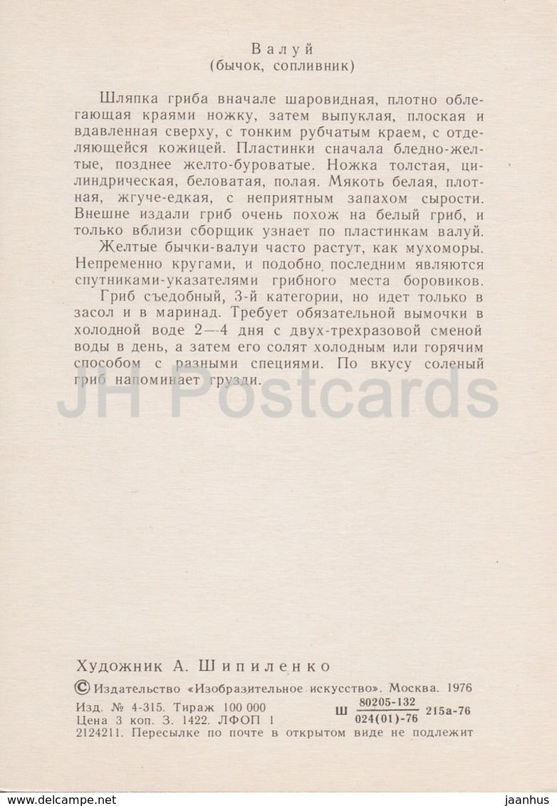 Stinking Russula - Russula foetens - illustration by A. Shipilenko - Mushrooms - 1976 - Russia USSR - unused - JH Postcards