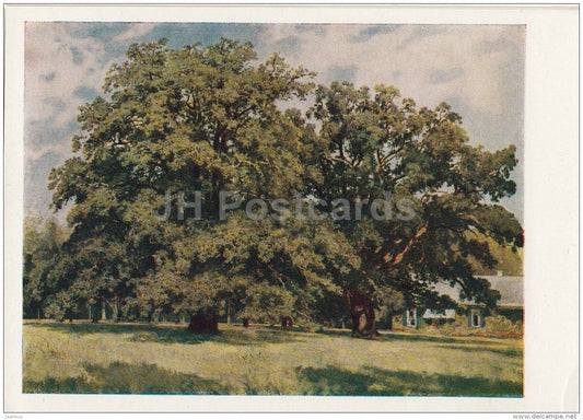 painting by I. Shishkin - Mordva oaks , 1891 - Russian art - 1958 - Russia USSR - unused - JH Postcards