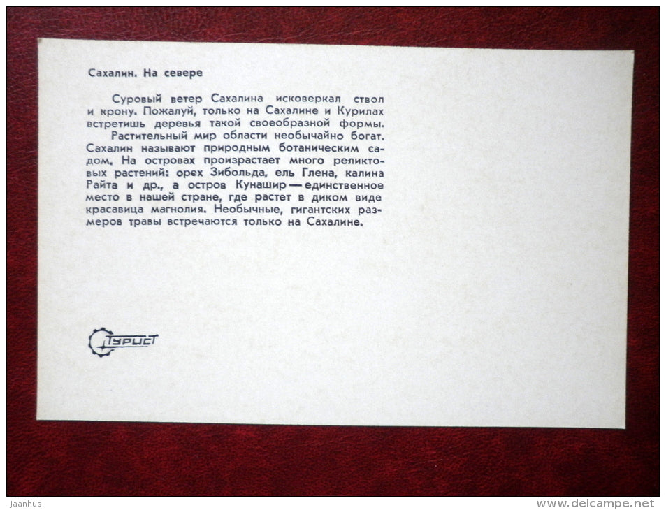 in the north - Sakhalin island - 1973 - Russia USSR - unused - JH Postcards